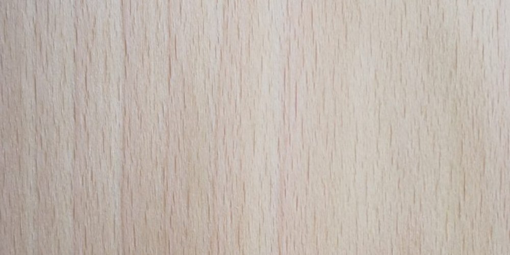 Plywood Supplier • Picó Plywood • Veneered Plywood Panels • White Beech