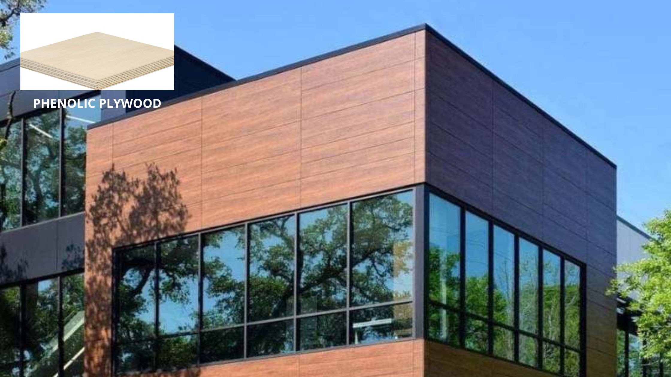 Plywood Supplier • Picó Plywood • Blog • A Grade Plywood