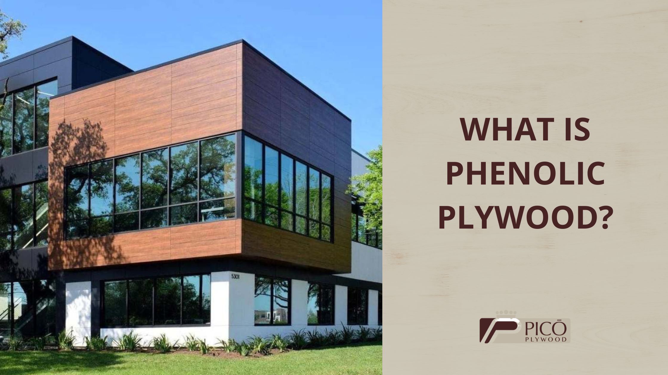 Plywood Supplier • Picó Plywood • Blog • What is phenolic plywood